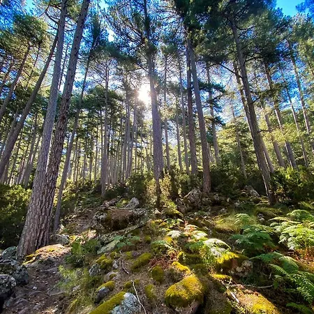 De La Foret Bonifatu Hotel Calenzana