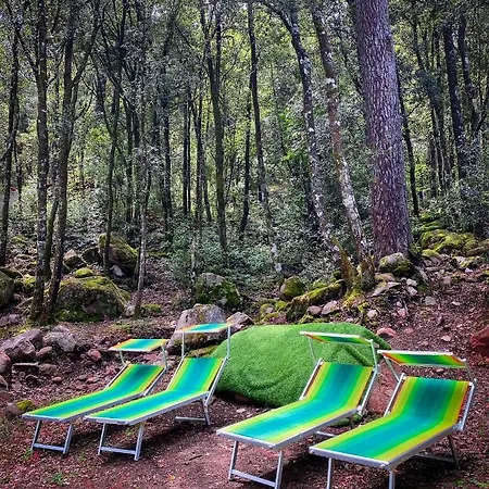 Hotel De La Foret Bonifatu Calenzana