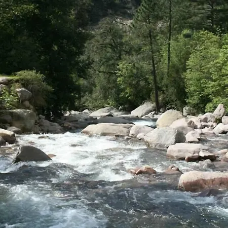 Hotel De La Foret Bonifatu 2*