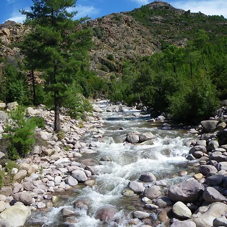 De La Foret Bonifatu Hotel 2*