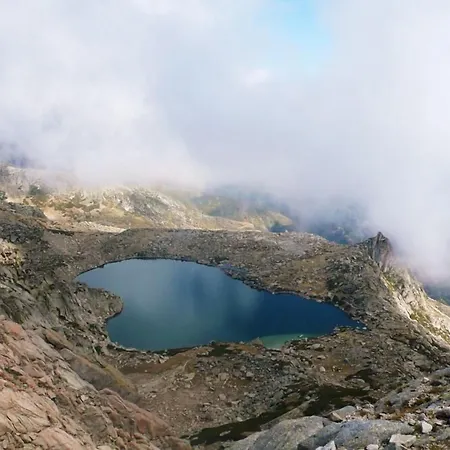 De La Foret Bonifatu 2*