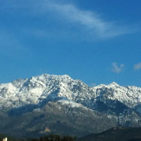 De La Foret Bonifatu