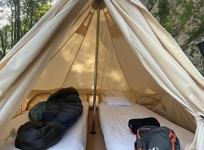 伯尼费图树林酒店