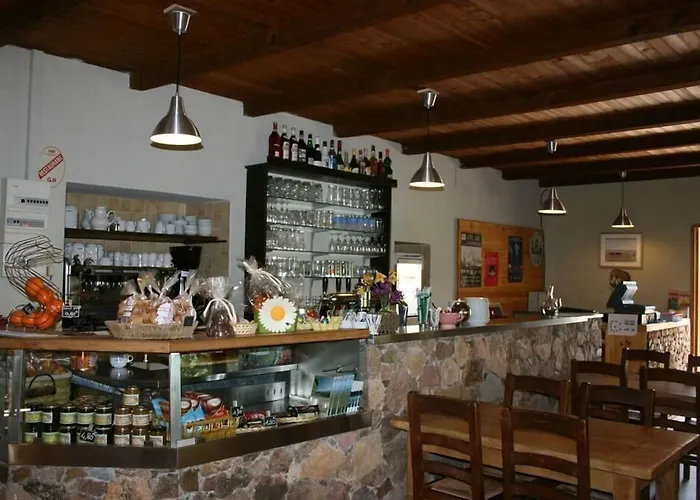 伯尼费图树林酒店