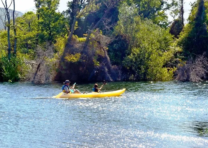 酒店 伯尼费图树林酒店 卡伦扎纳