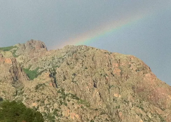 伯尼费图树林酒店