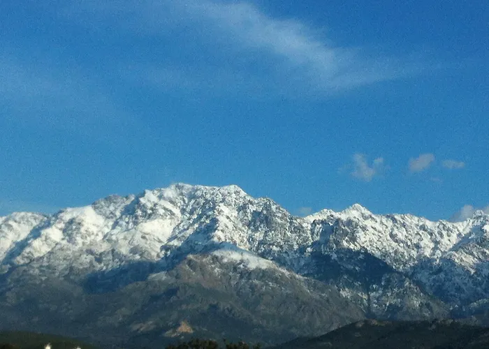伯尼费图树林酒店