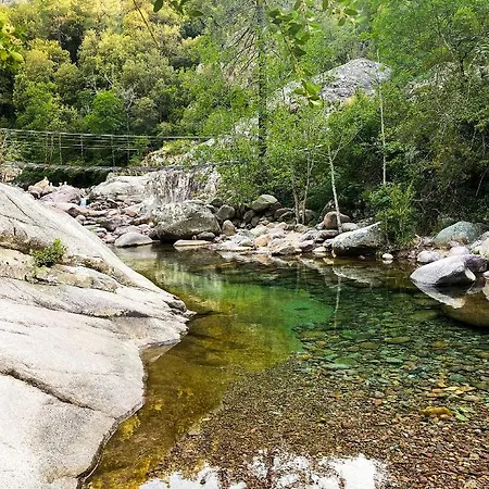Ξενοδοχείο De La Foret Bonifatu 2*