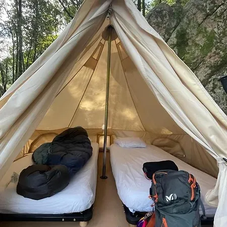 De La Foret Bonifatu