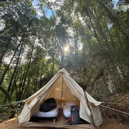 De La Foret Bonifatu Hotel