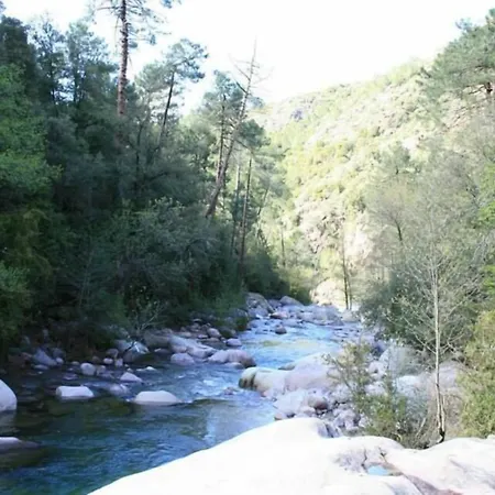 De La Foret Bonifatu