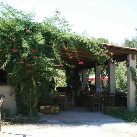 伯尼费图树林酒店 酒店 卡伦扎纳