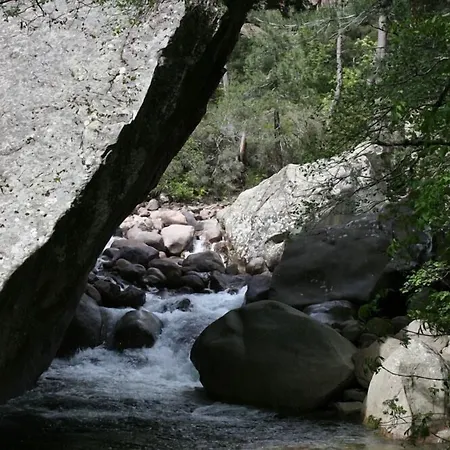 De La Foret Bonifatu Calenzana