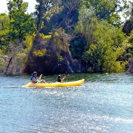 Hotel De La Foret Bonifatu Calenzana