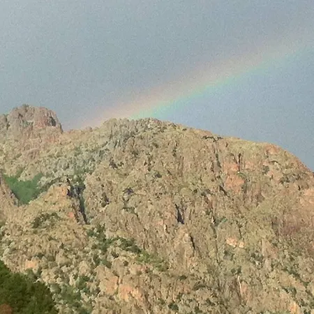 De La Foret Bonifatu