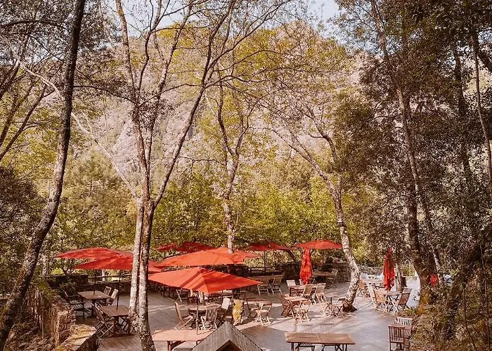 Hotel De La Foret Bonifatu 2*