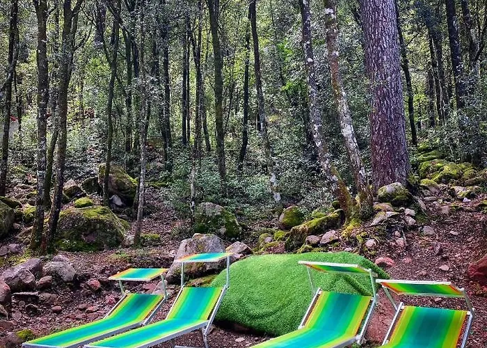 Hotel De La Foret Bonifatu Calenzana