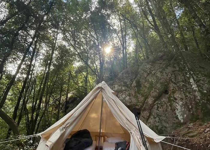 De La Foret Bonifatu Hotel