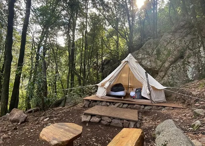 De La Foret Bonifatu 2* كالينزانا