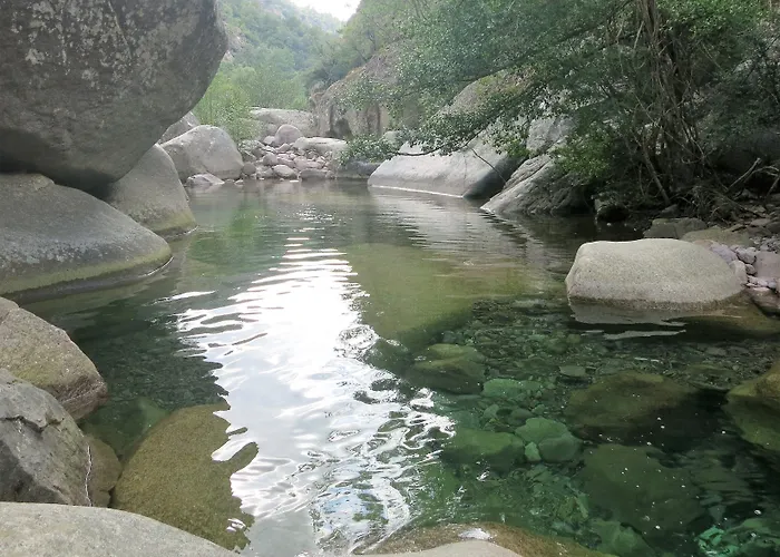 De La Foret Bonifatu فندق