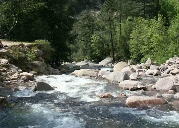 فندق De La Foret Bonifatu 2*