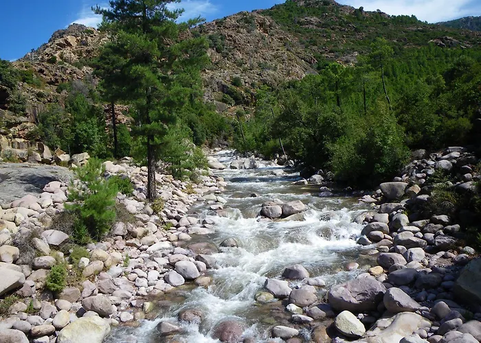 De La Foret Bonifatu فندق 2*