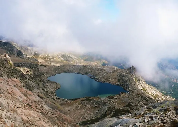 De La Foret Bonifatu 2*