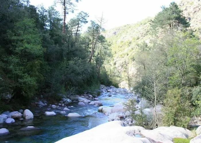 De La Foret Bonifatu