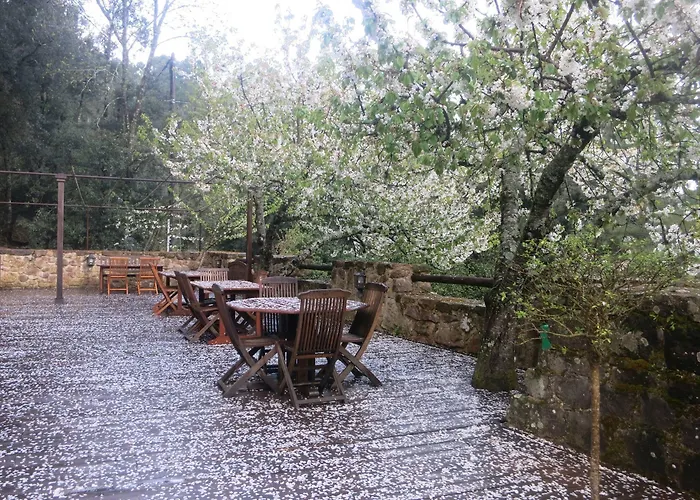 De La Foret Bonifatu كالينزانا