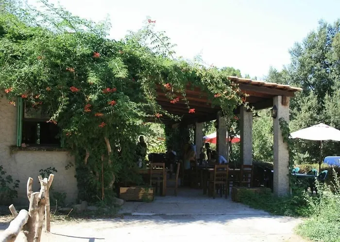 De La Foret Bonifatu فندق كالينزانا