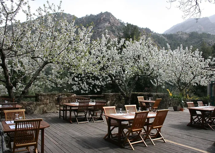 De La Foret Bonifatu كالينزانا