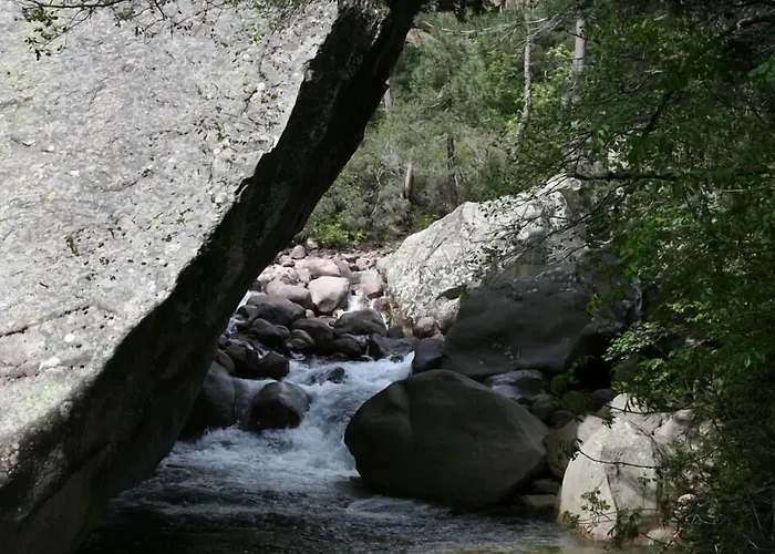 De La Foret Bonifatu Calenzana