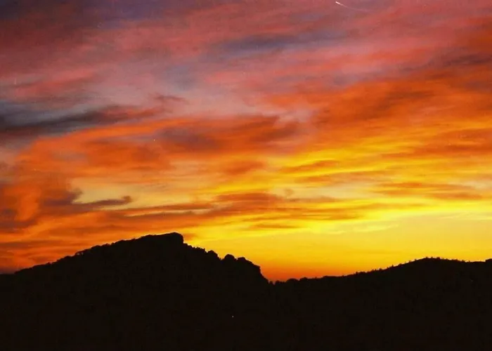 De La Foret Bonifatu